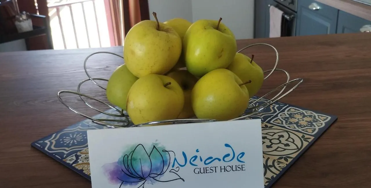 Vista Lago Lecco - Neiade Guest House Pescate 0*,